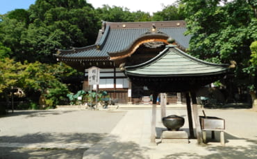 Der Jindaiji Tempel in Chofu.