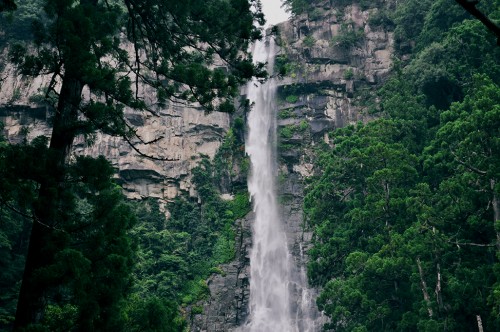 La cascada de Nachi de 133 metros de altura, es la tercera más alta de Japón.