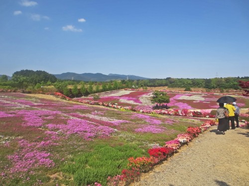 Parque Azaleas