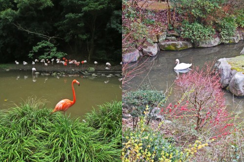 aves lago bio park