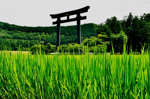 arco torii hongu taisha