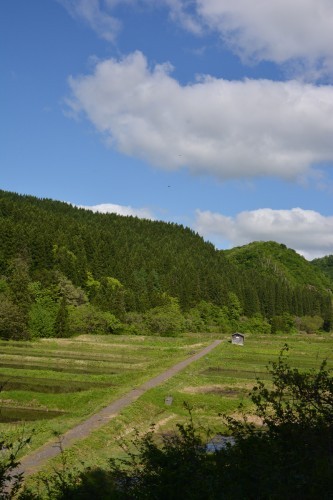 Campos de arroz de Takane.