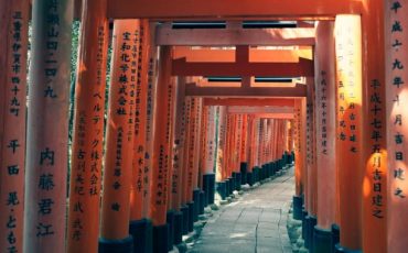 Arcos torii del santuario Fushimi Inari.
