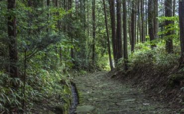 Nakasendo