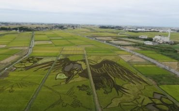 Tambo art