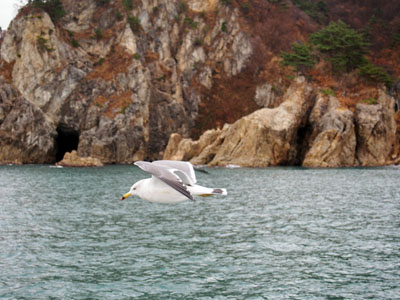 Un tour en ferry à Kuwakawa sur la route pour Murakami, Niigata, Japon.