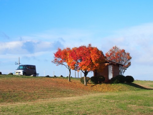 Près de la rivière Miomote, ville de Murakami, Niigata, Japon.