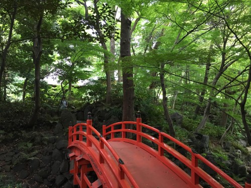 Jardin de Koishikawa Koraku-en à Tokyo
