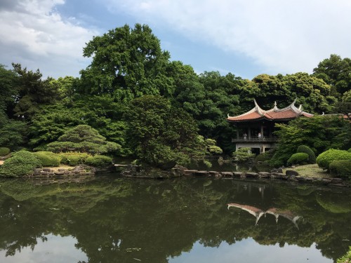 Le jardin Shinjuku Gyoen à Tokyo, Japon.