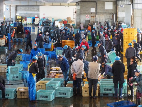 baie de toyama, pêcheurs, himi, poissons, japon, enchères