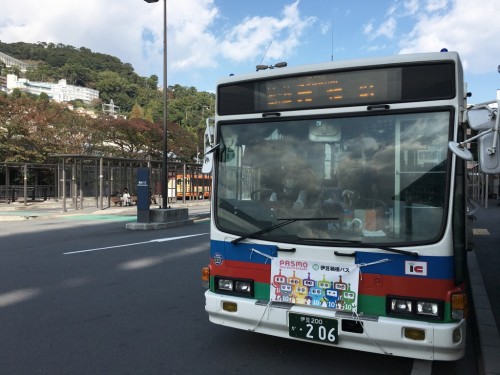 Col, Jukkoku Pass, Japon, Mont Fuji, Bus Izu-Hakone