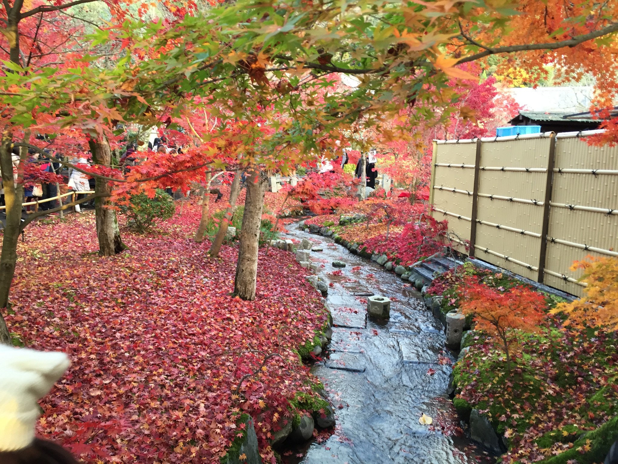 Kyoto, Japon