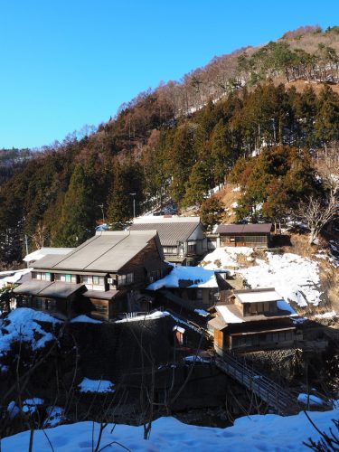 Snow Monkey Park, Macaques japonais, Nagano, Onsen
