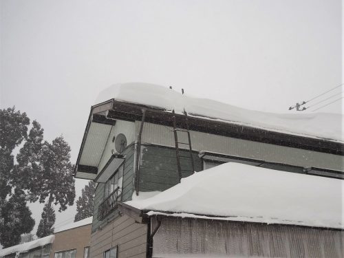 Neige à Yamakoshi,Niigata,Satoyama,Cycle de l'eau,Japon