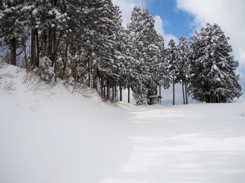 Koshi Kogen,Yamakoshi,Ski,Raquettes,Niigata
