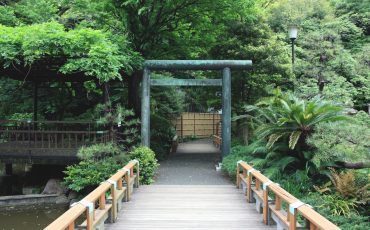 Togo shrine, Tokyo, Japon.