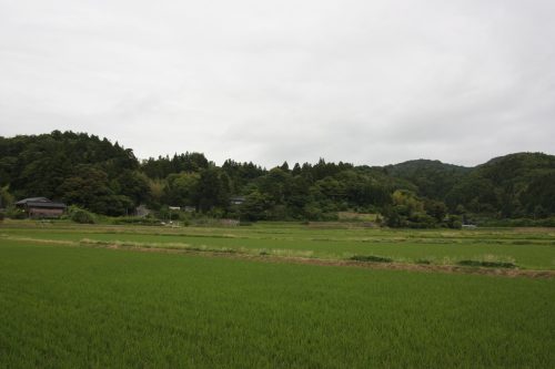 Les environs de la scène de théâtre Nô du sanctuaire Kusakari à Hamochi, sur l'île de Sado au Japon