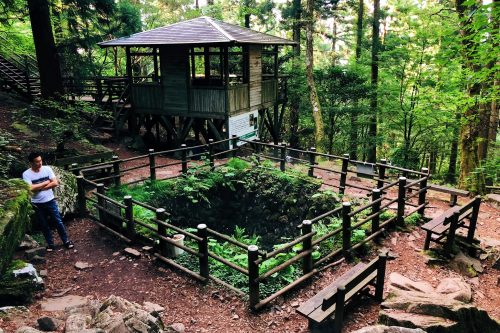 Kaza Ana dans le parc Shinrin près de Toon, Ehime, Japon