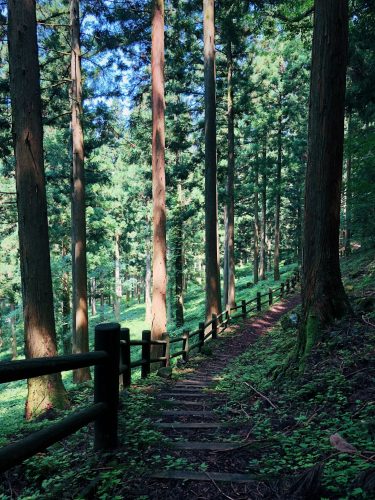 Sentier dans la montagne Saragamine près de Toon, Ehime, Japon