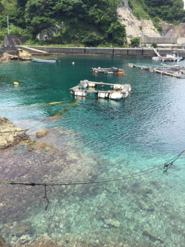 Les eaux turquoises du port de Fukashima