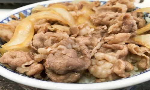 new_gyudon1