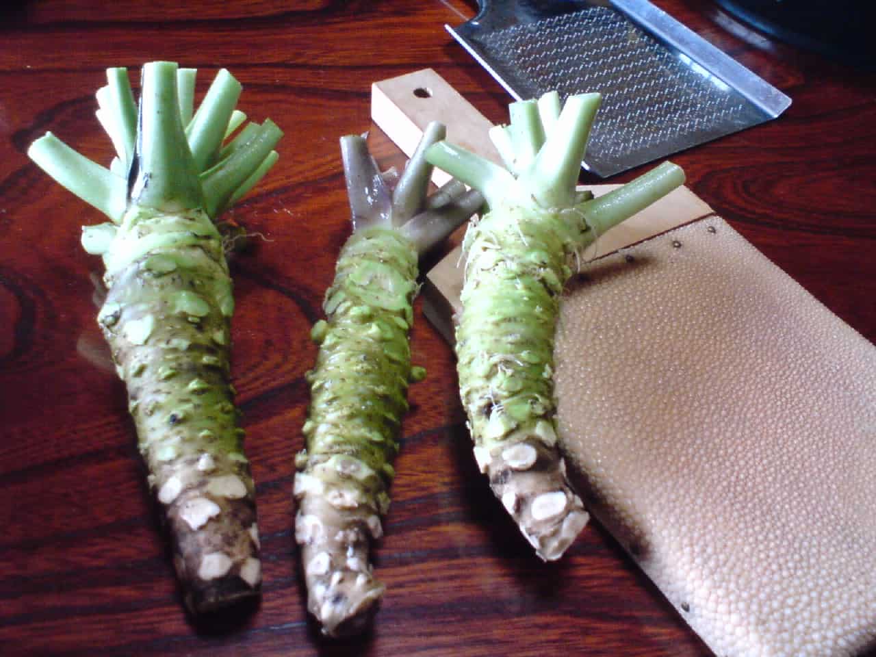 wasabi,mountain,field,green,root,plant,mountain,Shizuoka,Japanese,horseradish,mustard