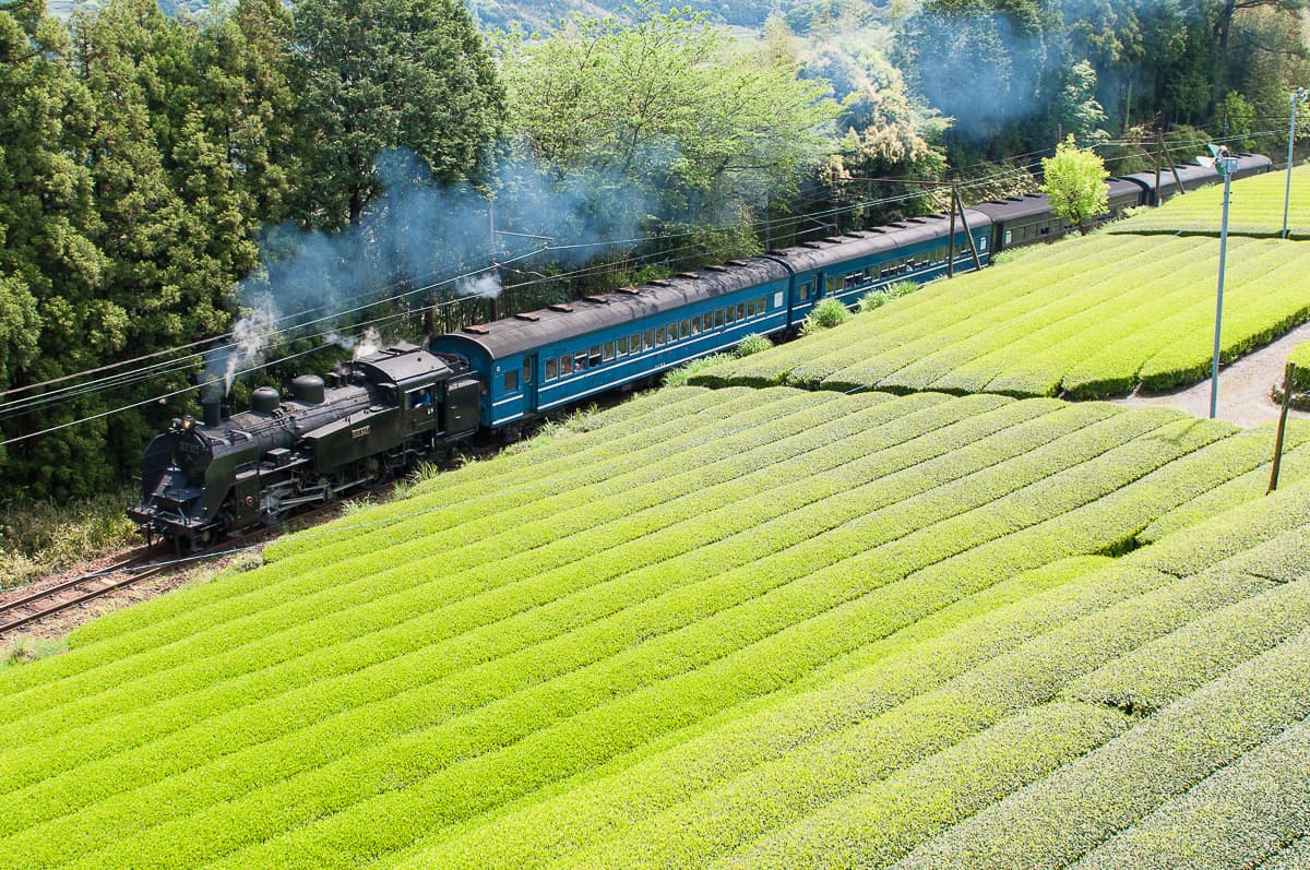 Thomas the Tank Engine in Shizuoka!