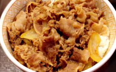 food,Japanese food,Japanese,cheap,gyudon,budget,tasty