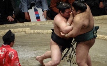 sumo,tradition,sport,tournament