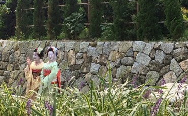 Meet Maiko, a Geisha in training!