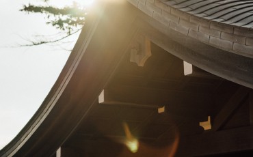 Kamakura Day Trip: Tsurugaoka Hachimangu