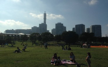 Yokohama: Parks and Cosmo World