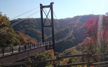 Walking in Kisaichi Hoshida-Enchi Park, Osaka's off-the-beaten-path secret