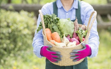 Those who are vegetarian has to in advance look up what kind of vegetable often can be eaten in Japanese life