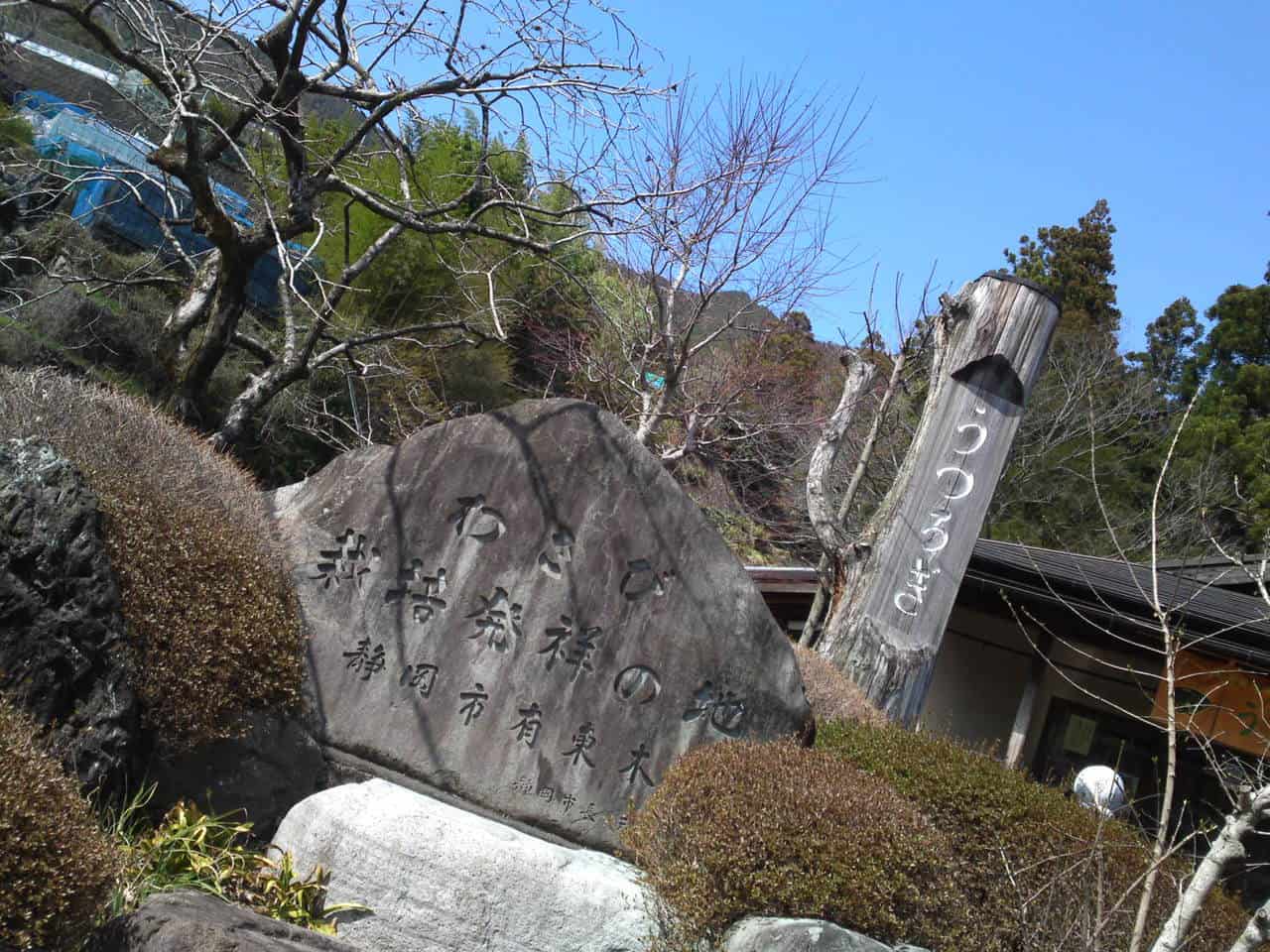 Soba, Wasabi Leaf Tempura, Utsurogi, shizuoka