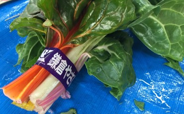 market,vegetables,fruit,vegetarian,vegan,kamakura,kanagawa,fresh food,farmer's market