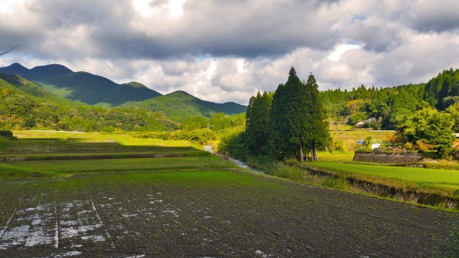 Tano Kansa - landscape of mountains in the distance with a dirt field and plains straight ahead.