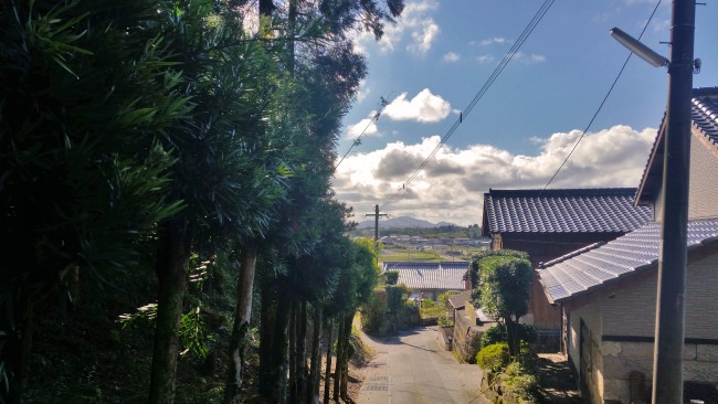Tano Kansa - road with trees on the left and houses on the right.