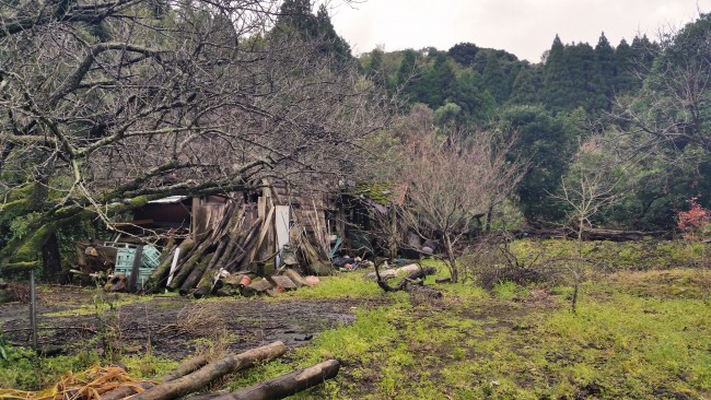 Tano Kansa - abondoned house with a lot of of wood and some trees.