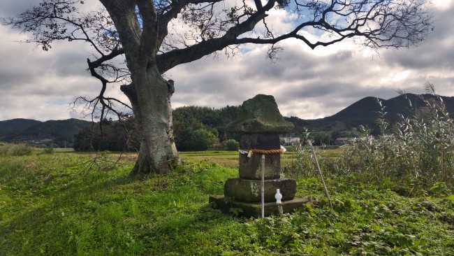 Tano Kansa - another Tano Kansa statue near a tree and a grass plain.
