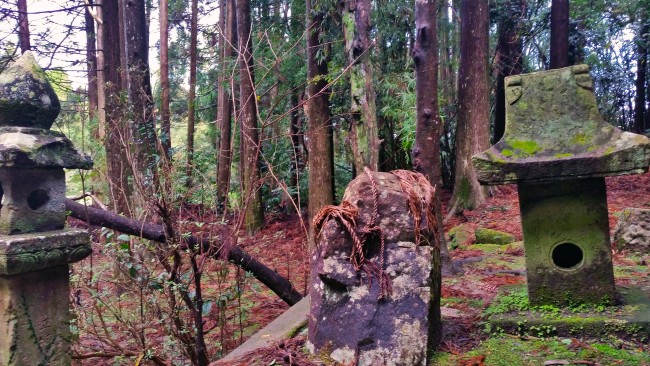 Tano Kansa - old statue kind of objects within a forest.