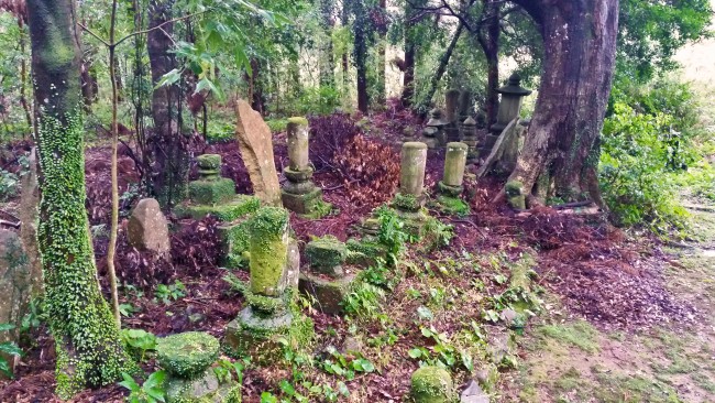 Tano Kansa - old statue kind of objects within a forest.