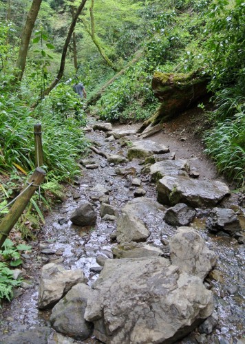 Biwa waterfall hiking trail in Mt. Takao