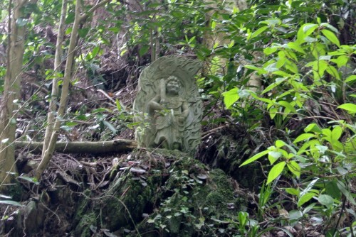 On the way through Omotesando Path, Mt.Takao