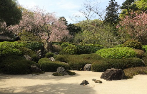 dry garden in temple, Kamakura