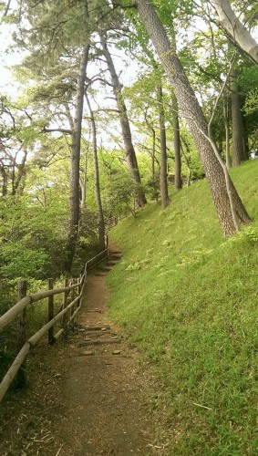 Park near Tamagawa river.