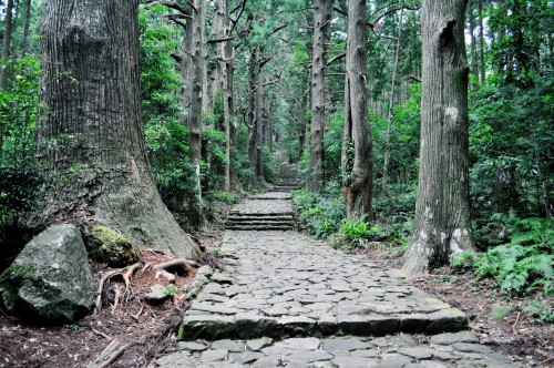 immense scenery and outdoors of Kumano Kodo