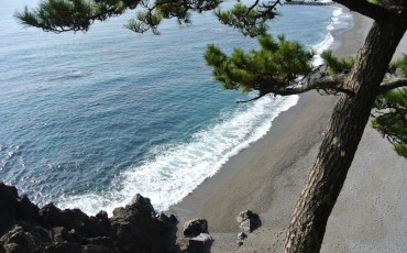 Katsurahama beach near the water and sand in Kochi.