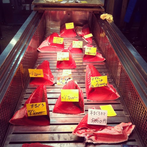 Seafood on display at Tsukiji fish wholesale market