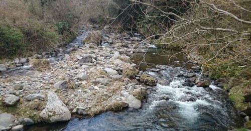rivulet near cafe in Shimoda